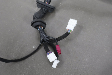2013 Tesla Model S Door Wiring Harness 1004419-90-g OEM