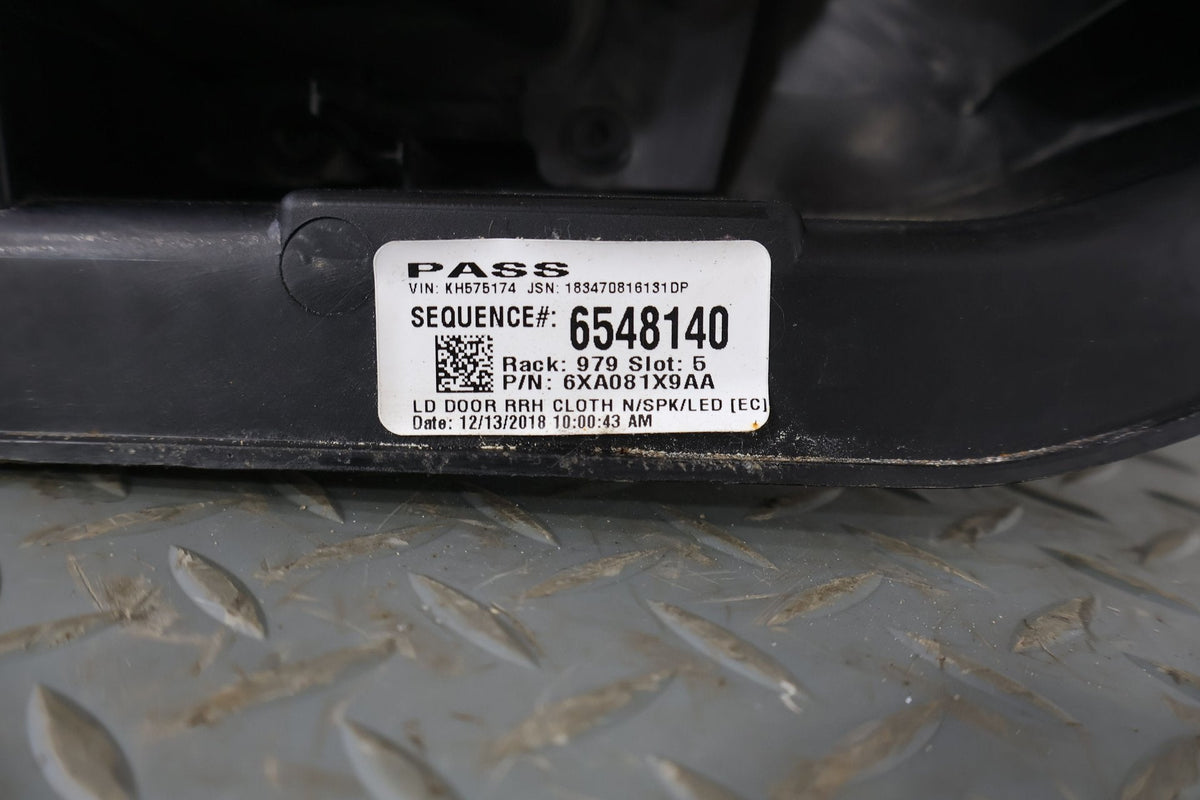2015 Dodge Charger- Right Rear Door Trim Panel