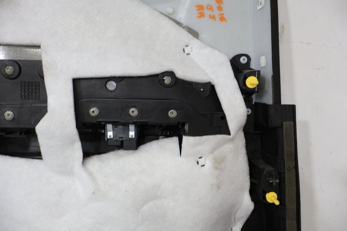 2015 Dodge Charger- Right Rear Door Trim Panel