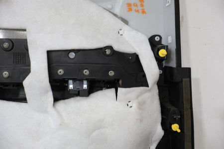 2015 Dodge Charger- Right Rear Door Trim Panel