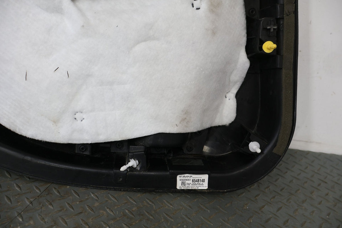 2015 Dodge Charger- Right Rear Door Trim Panel