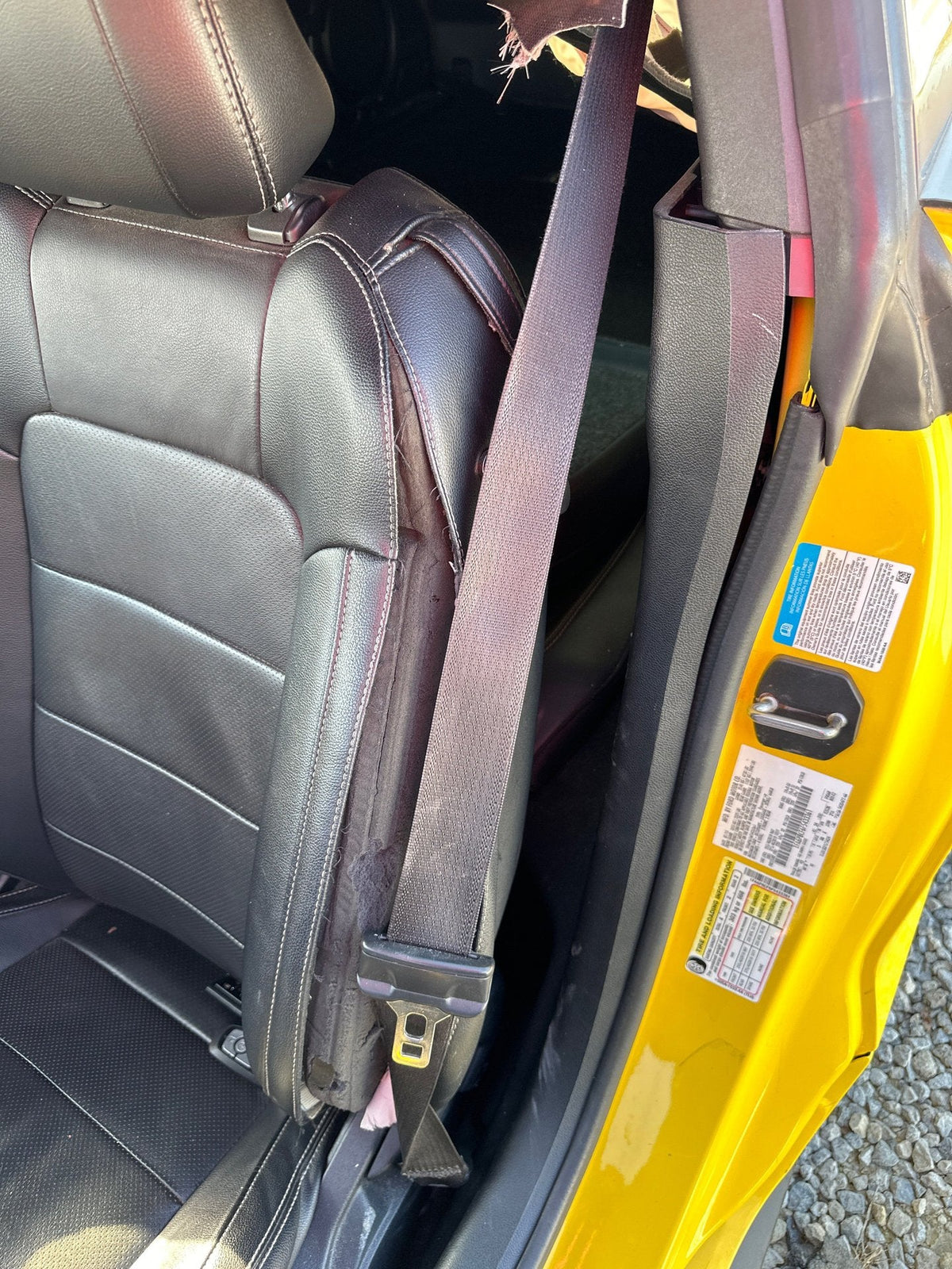 2015 Ford Mustang- Front Seat Belt