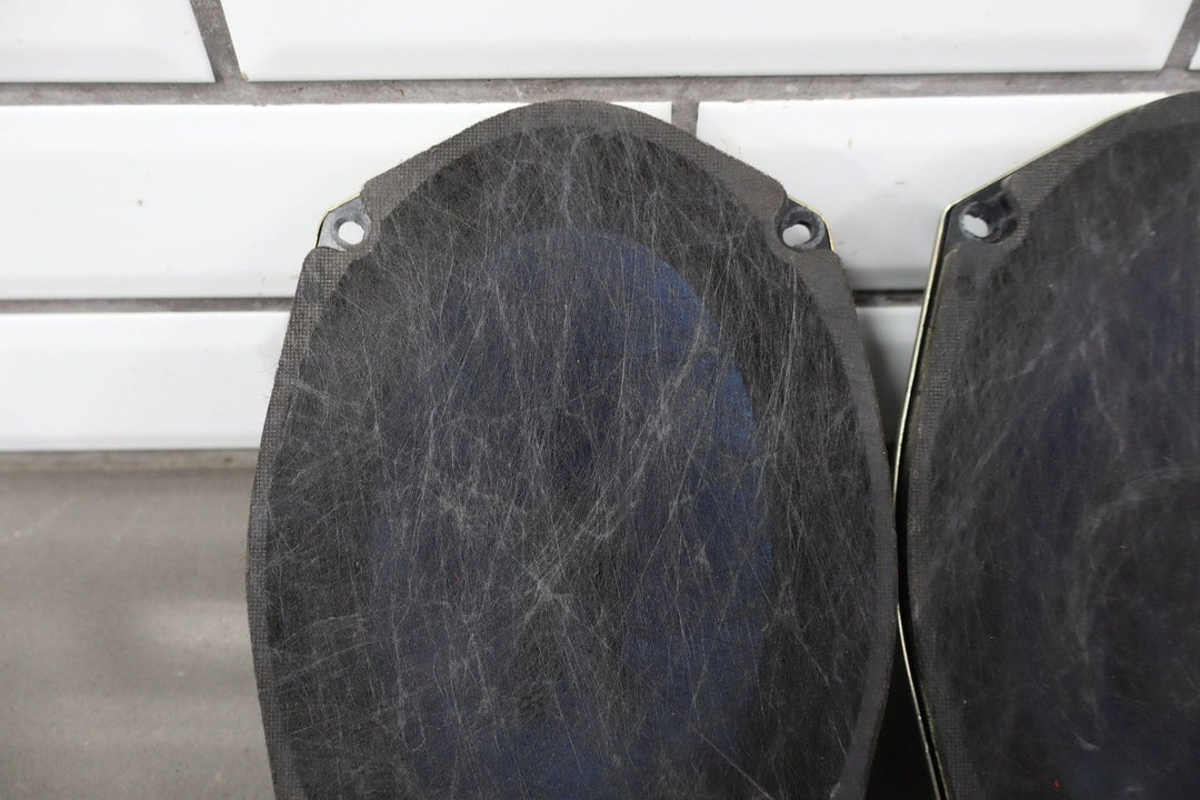 2015 Ram 1500 Alpine Door Speakers