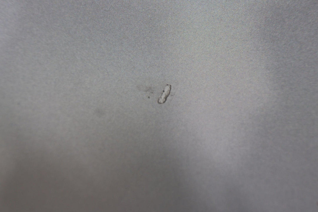 2016 - 2020 Tesla Model X Rear Left Falcon Door W/ Glass (Wrap Over Pearl White)