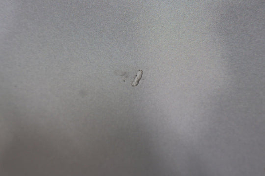 2016 - 2020 Tesla Model X Rear Left Falcon Door W/ Glass (Wrap Over Pearl White)