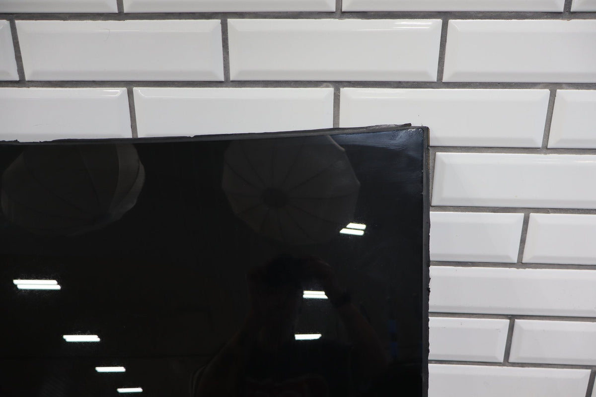 2016-2025 Tesla Model X MX Rear Left Side Falcon Door Roof Glass 1034902-00-G