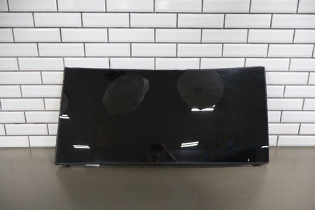 2016-2025 Tesla Model X MX Rear Left Side Falcon Door Roof Glass 1034902-00-G