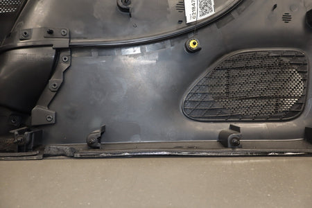 2017-2024 Chrysler Pacifica Touring Plus Left Rear Door Panel X3