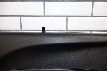 2017-2024 Chrysler Pacifica Touring Plus Left Rear Door Panel X3