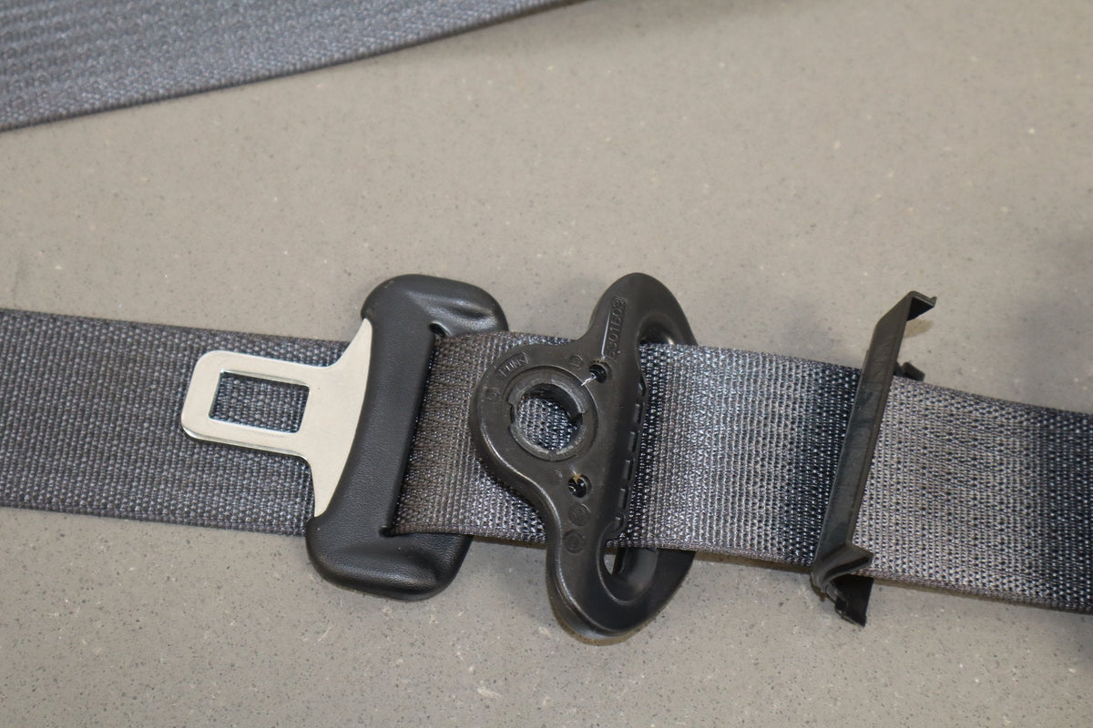 2017-2024 Chrysler Pacifica Touring Plus Left Rear Seat Belt X3