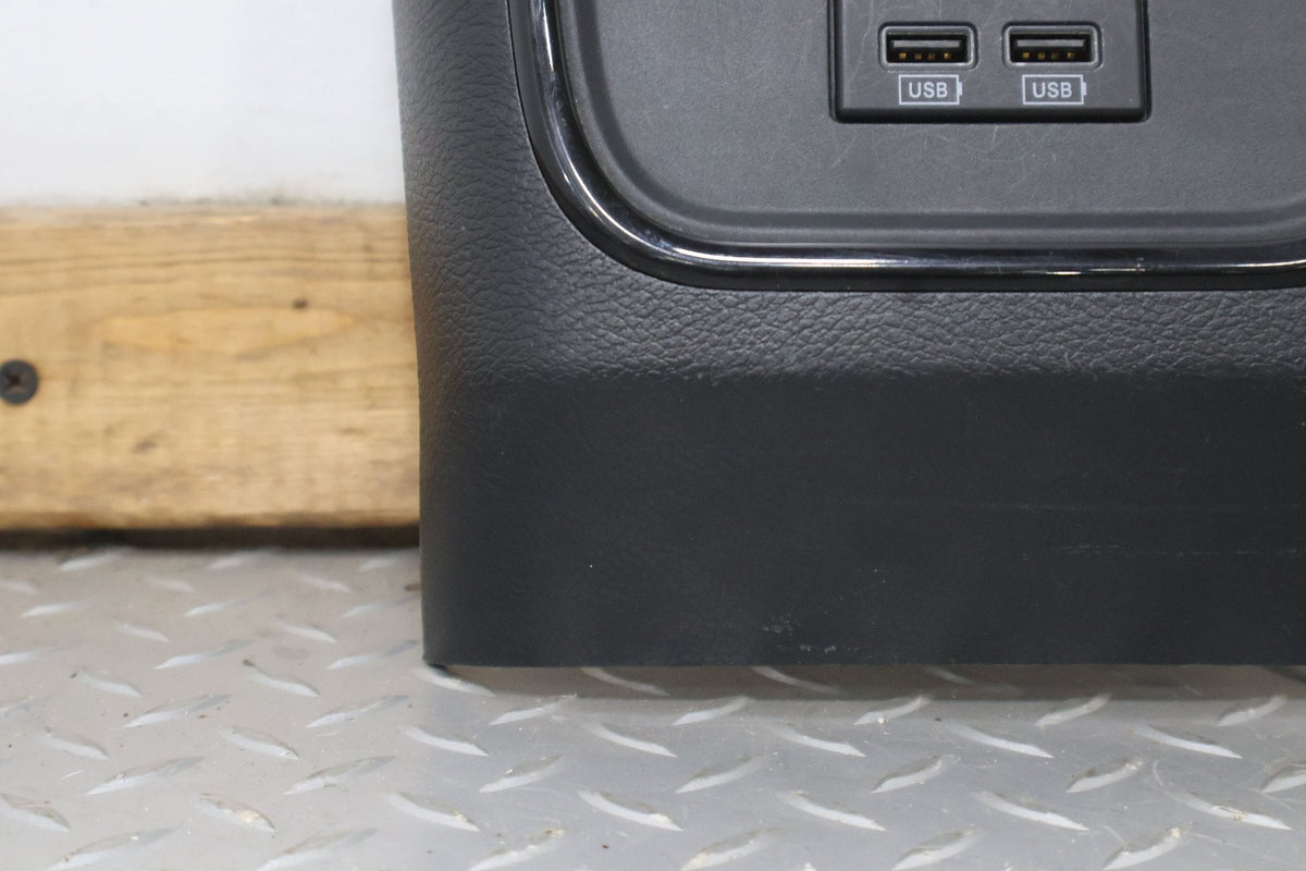 2017 Dodge Charger- Trim Panel