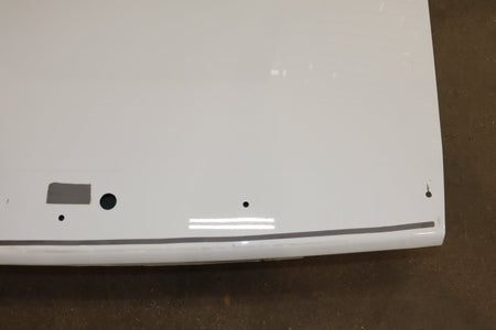 2019-2022 Dodge Challenger R/T Scat Pack Decklid/Tailgate
