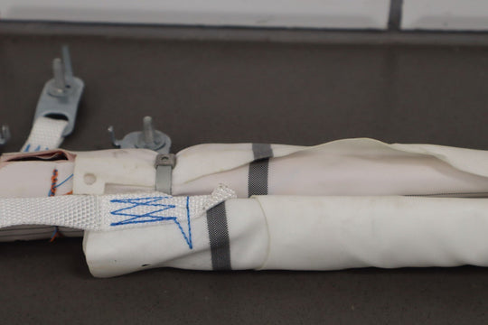 2019 Tesla Model X Left Driver Roof Curtain Airbag OEM