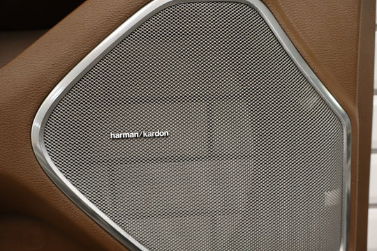 21 - 24 Ram 1500 Longhorn Left Front Door Panel Mountain Brown N8 OEM