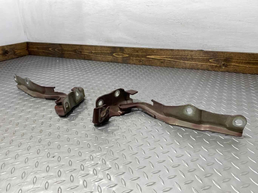 08-10 Ford F250SD Pair Left & Right Hood Hinges (Dark Copper Metallic T5)