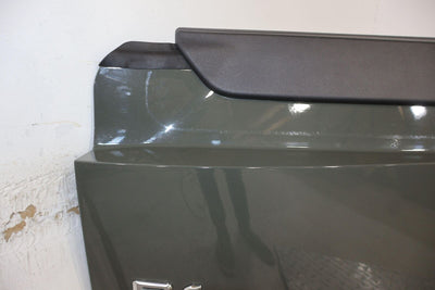 22-24 Rivian R1S Launch Edition Rear Lower Tail Gate (Launch Green) See Photos