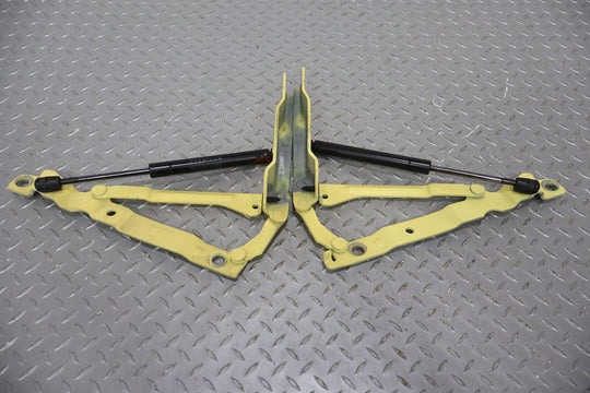 02-05 Ford Thunderbird Pair LH & RH Trunk / Deck lid Hinges (Inspiration Yellow)