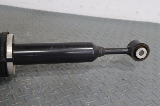 2016-2020 Tesla Model X Rear Left LH Air Strut OEM (1027461-00-E) OEM