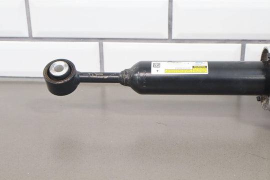 2016-2020 Tesla Model X Rear Left LH Bilstein Air Strut OEM (1027461-00-G)