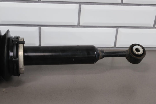 2016-2020 Tesla Model X Rear Left LH OEM Air Strut (102746-00-E) OEM