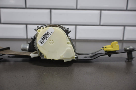 https://i.ebayimg.com/00/s/MTA2N1gxNjAw/z/NzcAAeSwRL1pwpwl/$_57.JPG?set_id=8800005007
