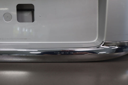 10-20 Lexus GX460 OEM Tail Finish Panel (Chrome&Tungsten Pearl) W/ Plate Lights