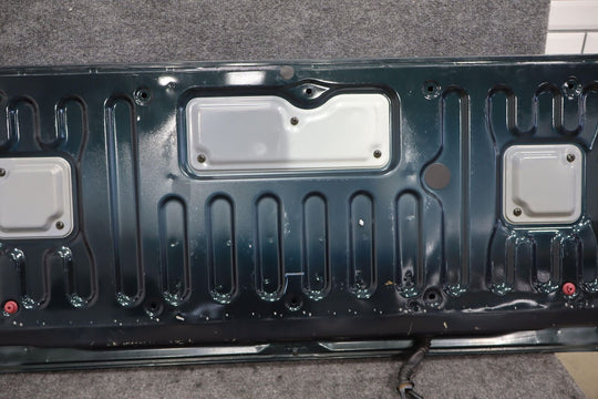 91-98 Toyota Land Cruiser 96-98 LX450 Lower Tailgate Section (See Notes)