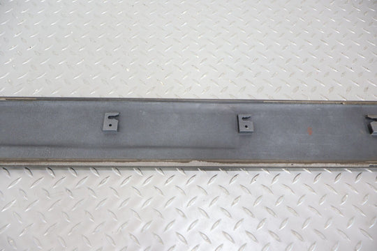 98-02 Toyota Land Cruiser Front Left LH Exterior Door Moulding (Gray Mica) OEM