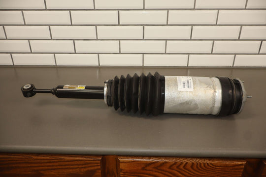 2016-2020 Tesla Model X Right Rear Air Suspension Strut 1027461-00-G