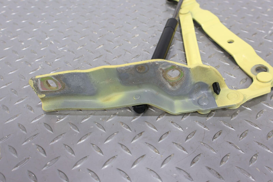 02-05 Ford Thunderbird Pair LH & RH Trunk / Deck lid Hinges (Inspiration Yellow)