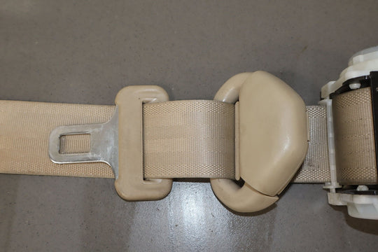 https://i.ebayimg.com/00/s/MTA2N1gxNjAw/z/uvkAAeSwATdqBS37/$_57.JPG?set_id=8800005007
