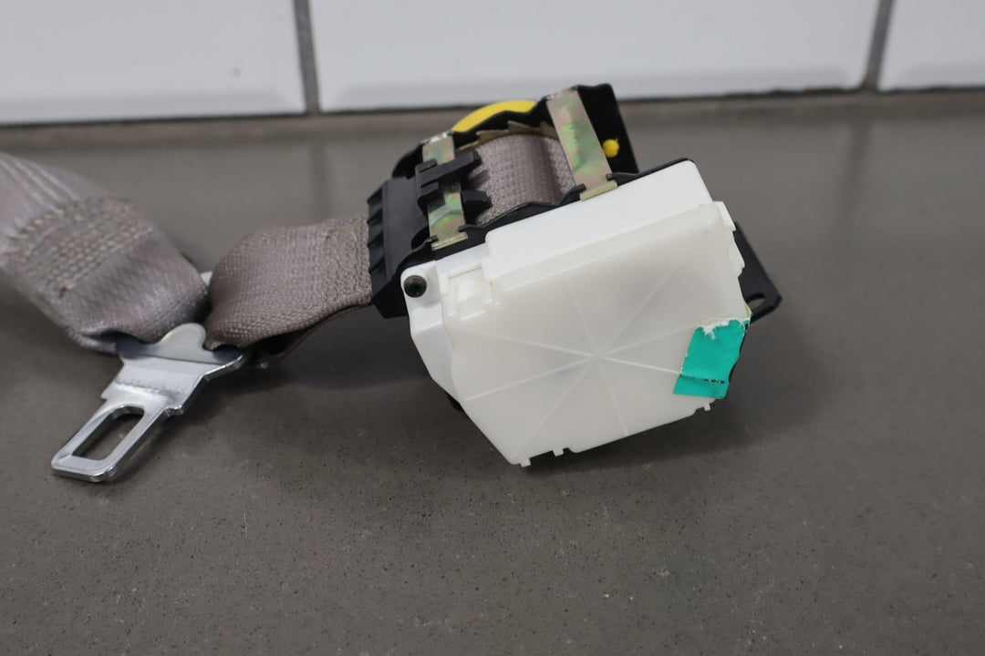 https://i.ebayimg.com/00/s/MTA2N1gxNjAw/z/gcwAAeSwSVZp0TKd/$_57.JPG?set_id=8800005007