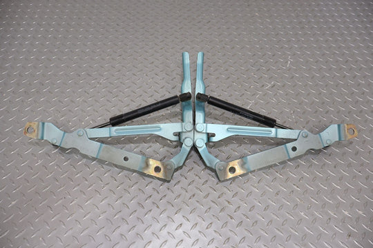 02-05 Ford Thunderbird Pair LH & RH Trunk / Deck lid Hinges (Thunderbird Blue)