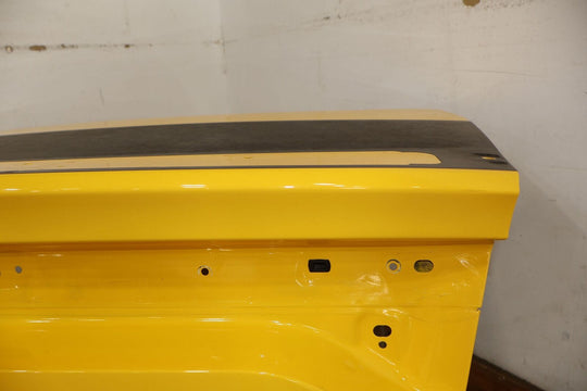 15-23 Dodge Charger Rear OEM Trunk Deck Lid (Yellow Jacket/Matte Black Stripe)