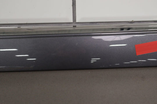 15-19 Lexus GX460 Front Left Driver Exterior Door Molding *Scratched*