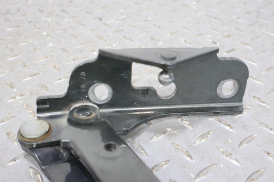 03-10 Bentley Continental GT Coupe Pair Trunk Lid Hinges (Cypress LK7T)