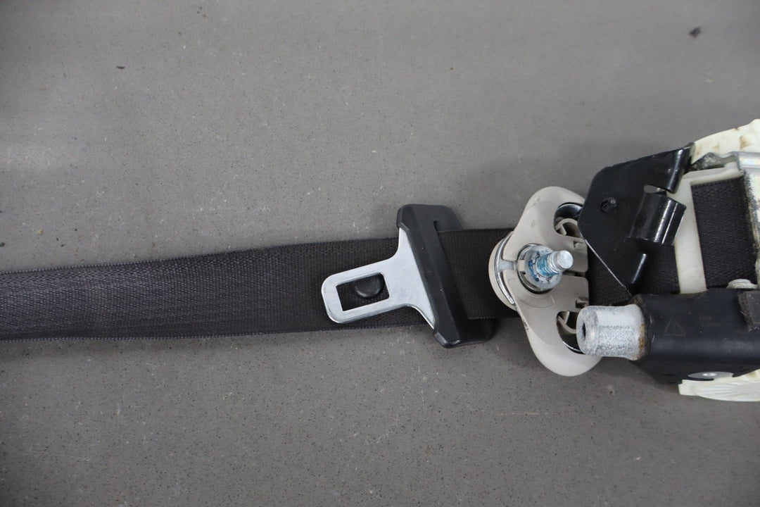 https://i.ebayimg.com/00/s/MTA2N1gxNjAw/z/tFQAAeSwdylpxc3y/$_57.JPG?set_id=8800005007