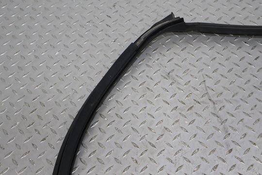 12-20 Tesla Model S Rear Left LH Door Weather Stripping Gasket Seal