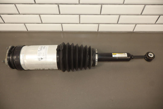 2016-2020 Tesla Model X Left Rear Air Suspension Strut 1027461-00-G