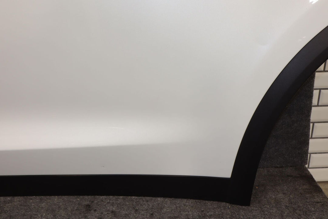 16-20 Tesla Model X Rear Left LH Door W/Glass (Pearl White PPSW) See Photos