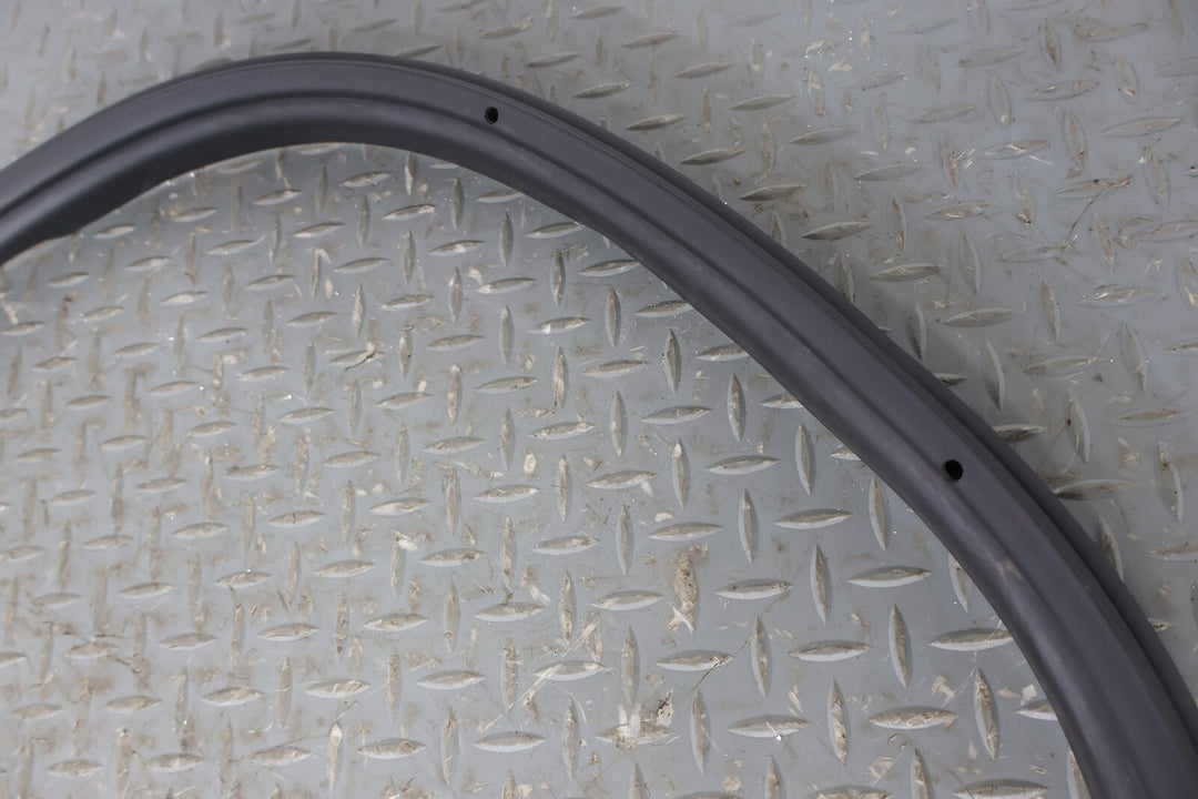 12-20 Tesla Model 3 Rear OEM Left Rear Door Weather Stripping Gasket Seal