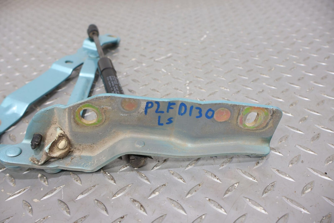 02-05 Ford Thunderbird Pair LH & RH Trunk / Deck lid Hinges (Thunderbird Blue)