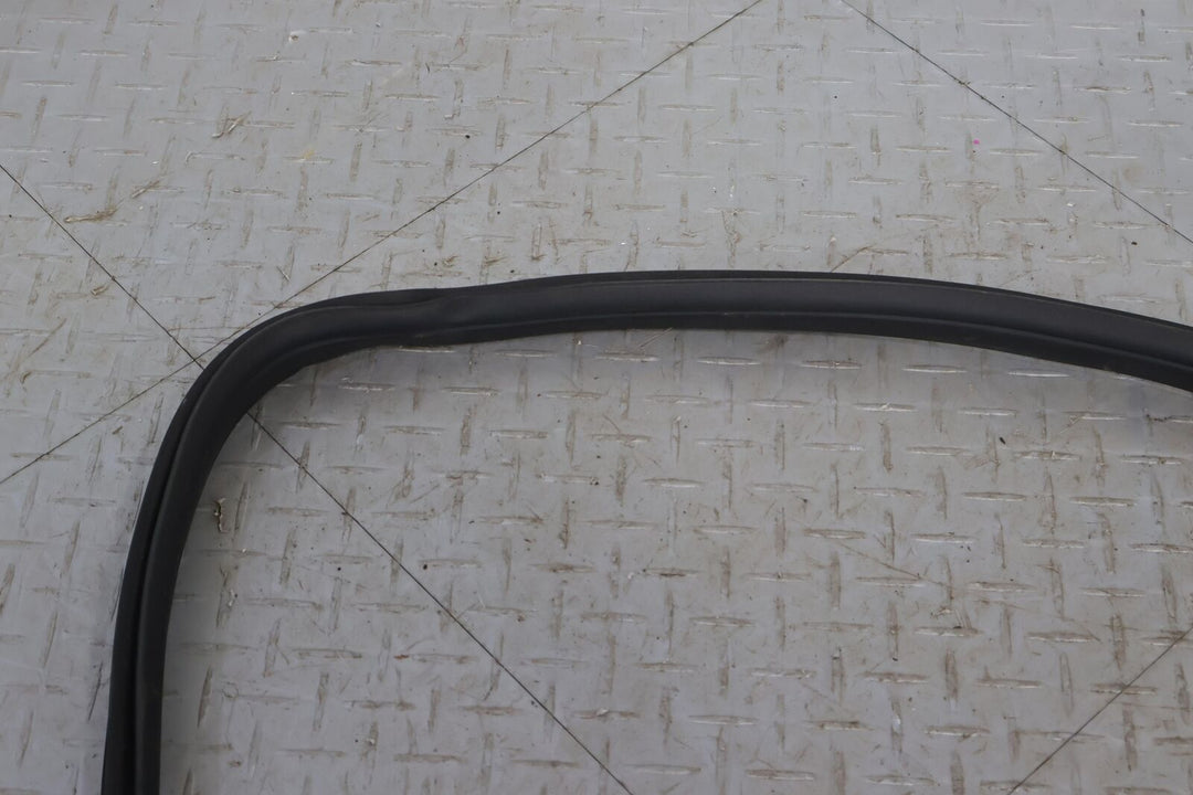 16-20 Tesla Model X Front Right RH Door Weather Stripping Gasket Seal