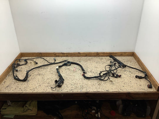 Ferrari 360 Left LH Engine Injection Wiring Harness/Connection Cables (179168)