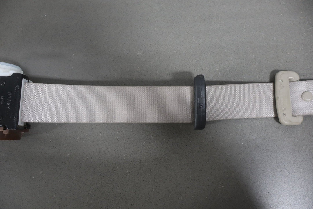 https://i.ebayimg.com/00/s/MTA2N1gxNjAw/z/E04AAeSw64xpwUK8/$_57.JPG?set_id=8800005007