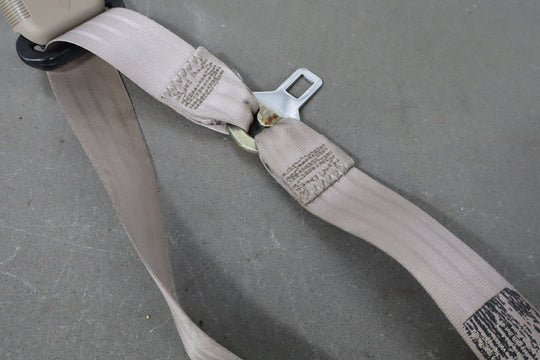 https://i.ebayimg.com/00/s/MTA2N1gxNjAw/z/ShIAAeSw16Zp0TJO/$_57.JPG?set_id=8800005007