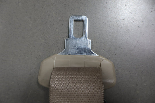 https://i.ebayimg.com/00/s/MTA2N1gxNjAw/z/6iQAAeSwW5Rpubbh/$_57.JPG?set_id=8800005007