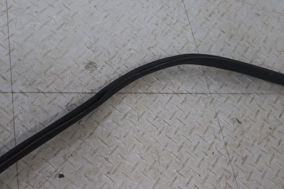 16-20 Tesla Model X Front Right RH Door Weather Stripping Gasket Seal