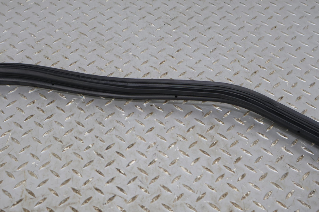 oem 00-06 Honda S2000 AP1 & AP2 Trunk seal