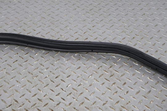 oem 00-06 Honda S2000 AP1 & AP2 Trunk seal